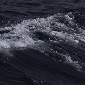 japanese厨房乱偷tube
